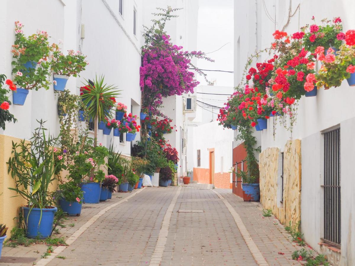 Conilplus Apartamento Lenguado Conil De La Frontera Luaran gambar
