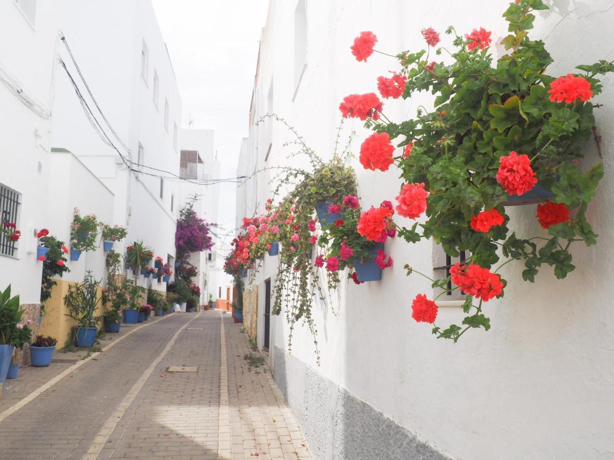 Conilplus Apartamento Lenguado Conil De La Frontera Luaran gambar